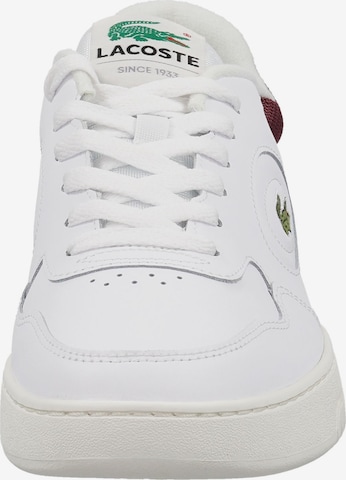 Baskets basses 'Lineset' LACOSTE en blanc