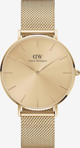 Daniel Wellington Uhr in Gold: predná strana