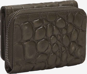 Liebeskind Berlin Wallet in Brown