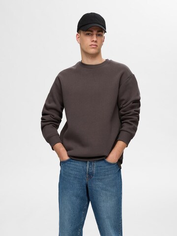 SELECTED HOMME Свитшот 'SLHREG-DAN' в Коричневый: спереди