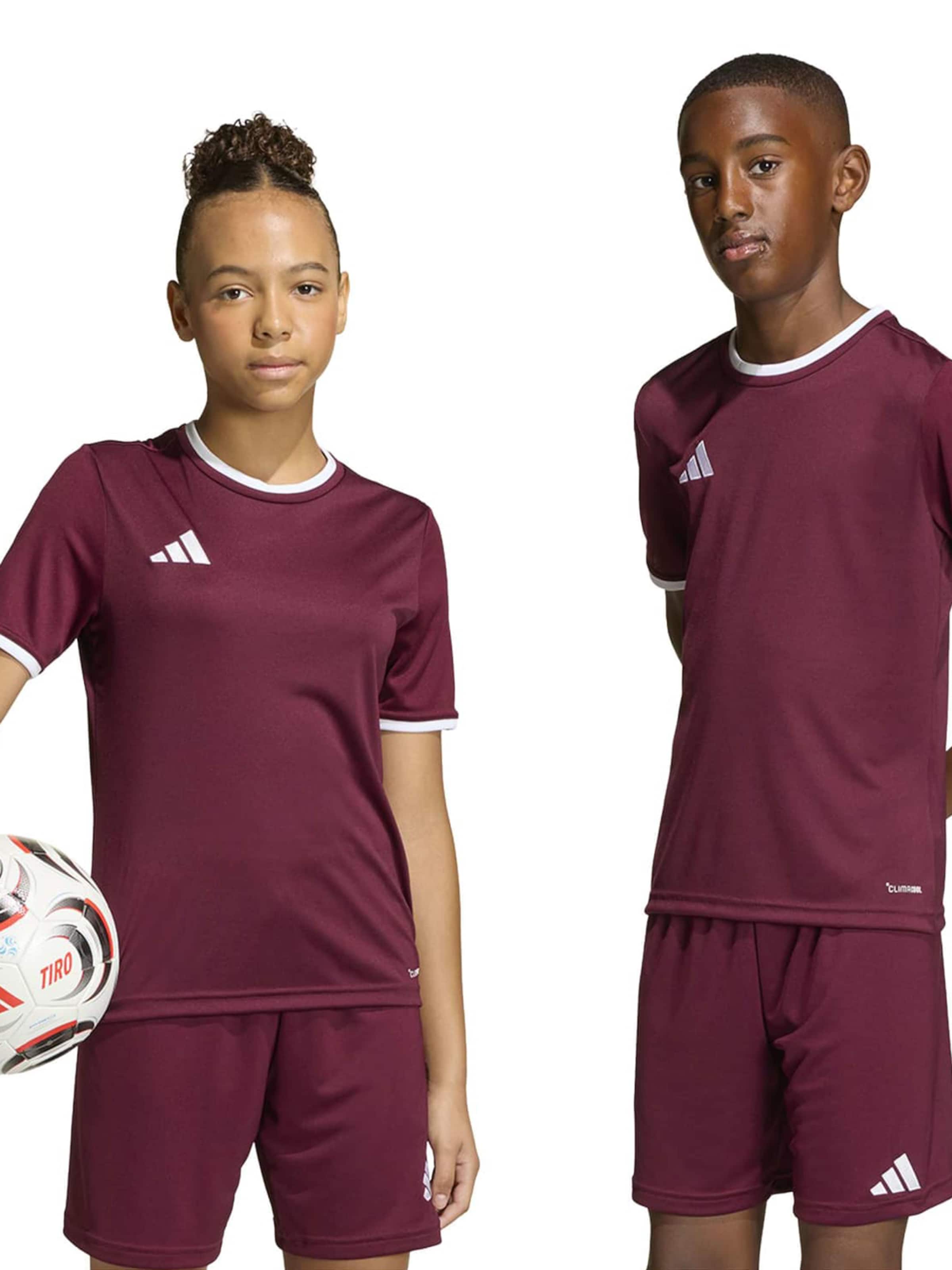 ADIDAS PERFORMANCE Функциональная футболка 'ENT26' в Красный