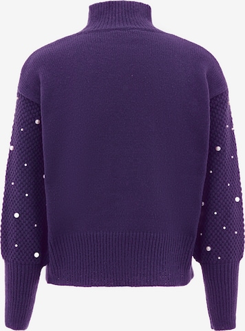 nascita Sweater in Purple