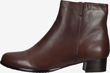 Everybody Ankle Boots 'Barbara' in Braun