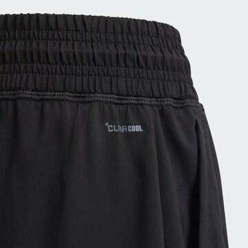 Loosefit Pantalon de sport 'Club' ADIDAS PERFORMANCE en noir