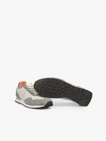 Sneaker bassa di Scalpers in grigio