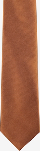 ROY ROBSON Tie in Brown: front