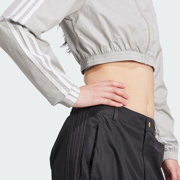 ADIDAS ORIGINALS Φθινοπωρινό και ανοιξιάτικο μπουφάν 'Adicolor Teamgeist' σε γκρι