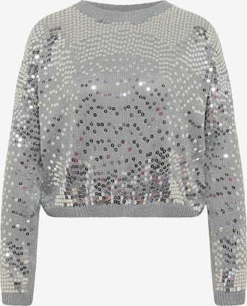 myMo at night Sweater in Grey: front