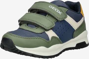 Sneaker di GEOX in verde: frontale