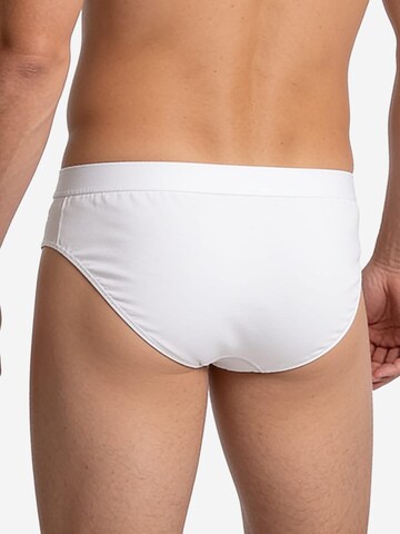 SPEIDEL Slip 'Classic'‌‌‌‌‌‌ in Weiß