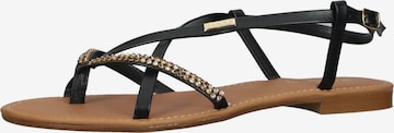 Sandales à lanières SCAPA en noir : devant