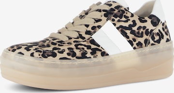 GABOR Sneakers in Brown: front