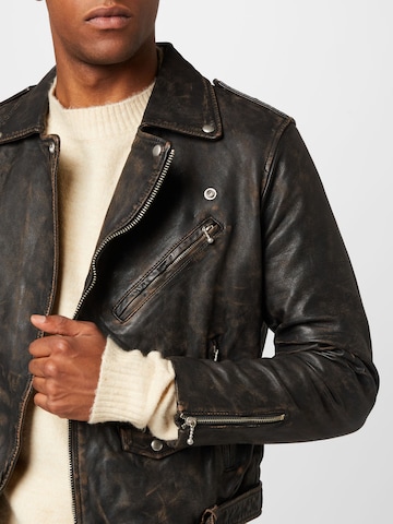 Veste mi-saison 'TORREN' AllSaints en marron