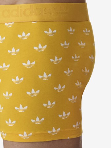 ADIDAS ORIGINALS Boxershorts ' Comfort Flex Cotton Print ' in Geel