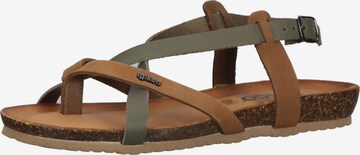 IGI&CO Strap Sandals in Brown: front