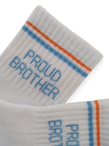 Pippa & Piet Socks 'Proud Brother' in Orange