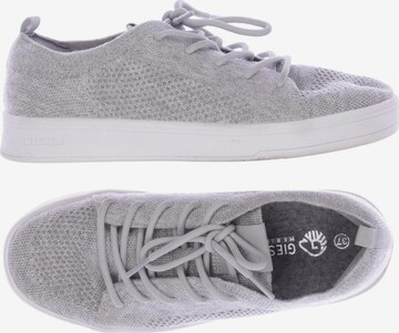 GIESSWEIN Sneakers & Trainers in 37 in Grey: front