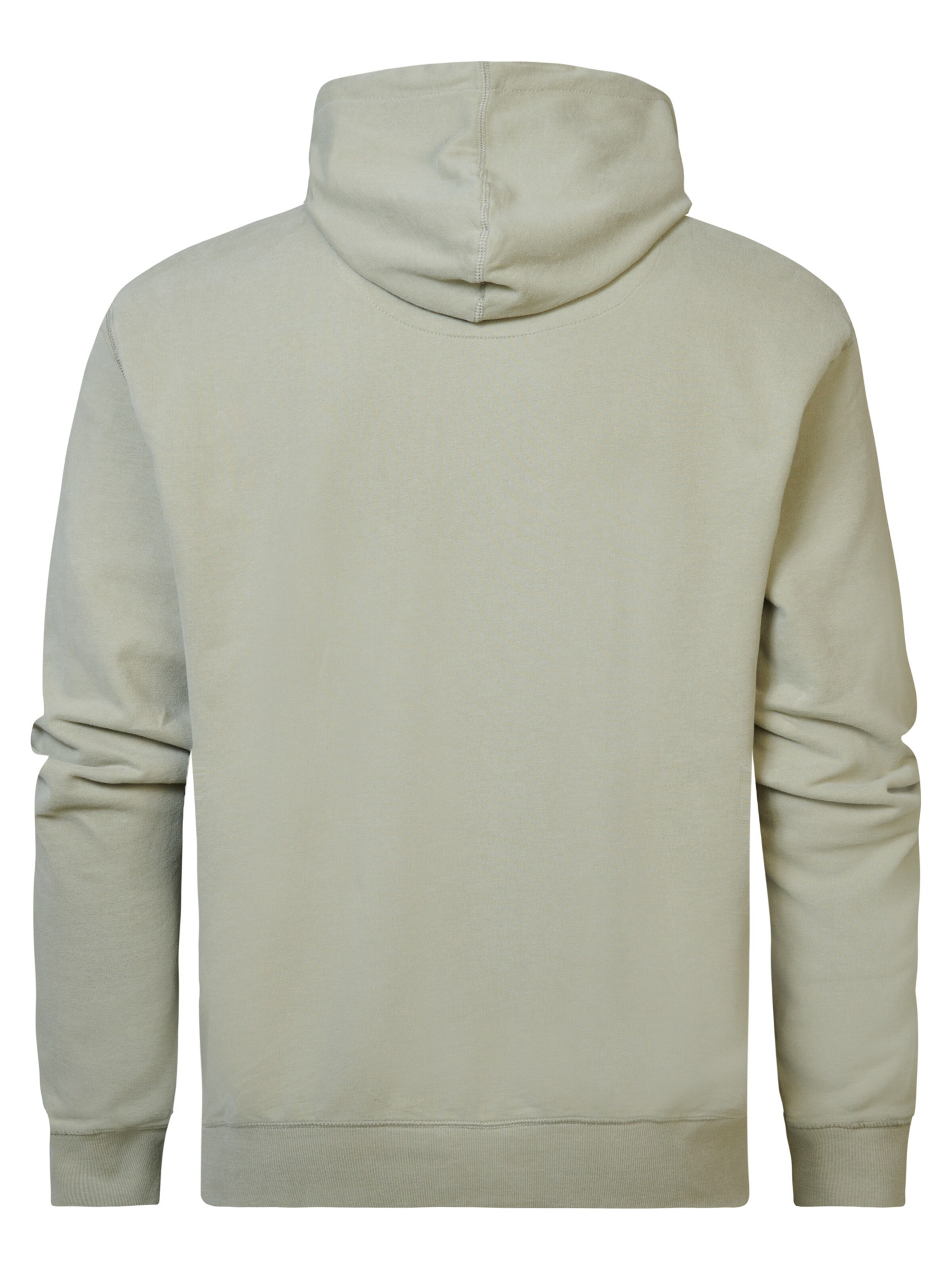 Petrol Industries Sweatshirt 'Aquatic' in Grün