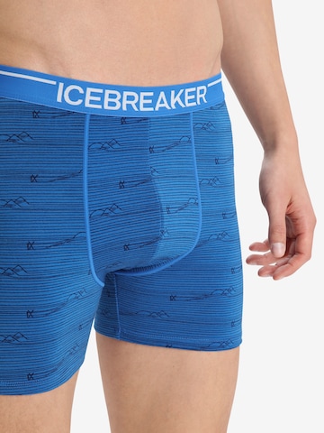 ICEBREAKER Sportunterhose 'Anatomica' in Blau