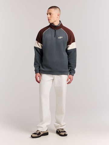 Sweat de sport 'PRTElmar' PROTEST en gris