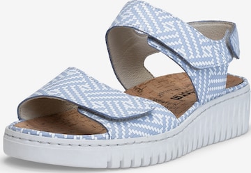 Sandalo di VITAFORM in blu: frontale