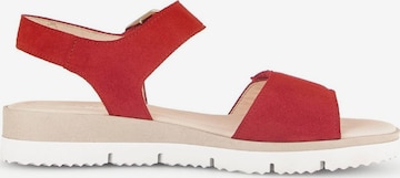 GABOR Strap Sandals in Red