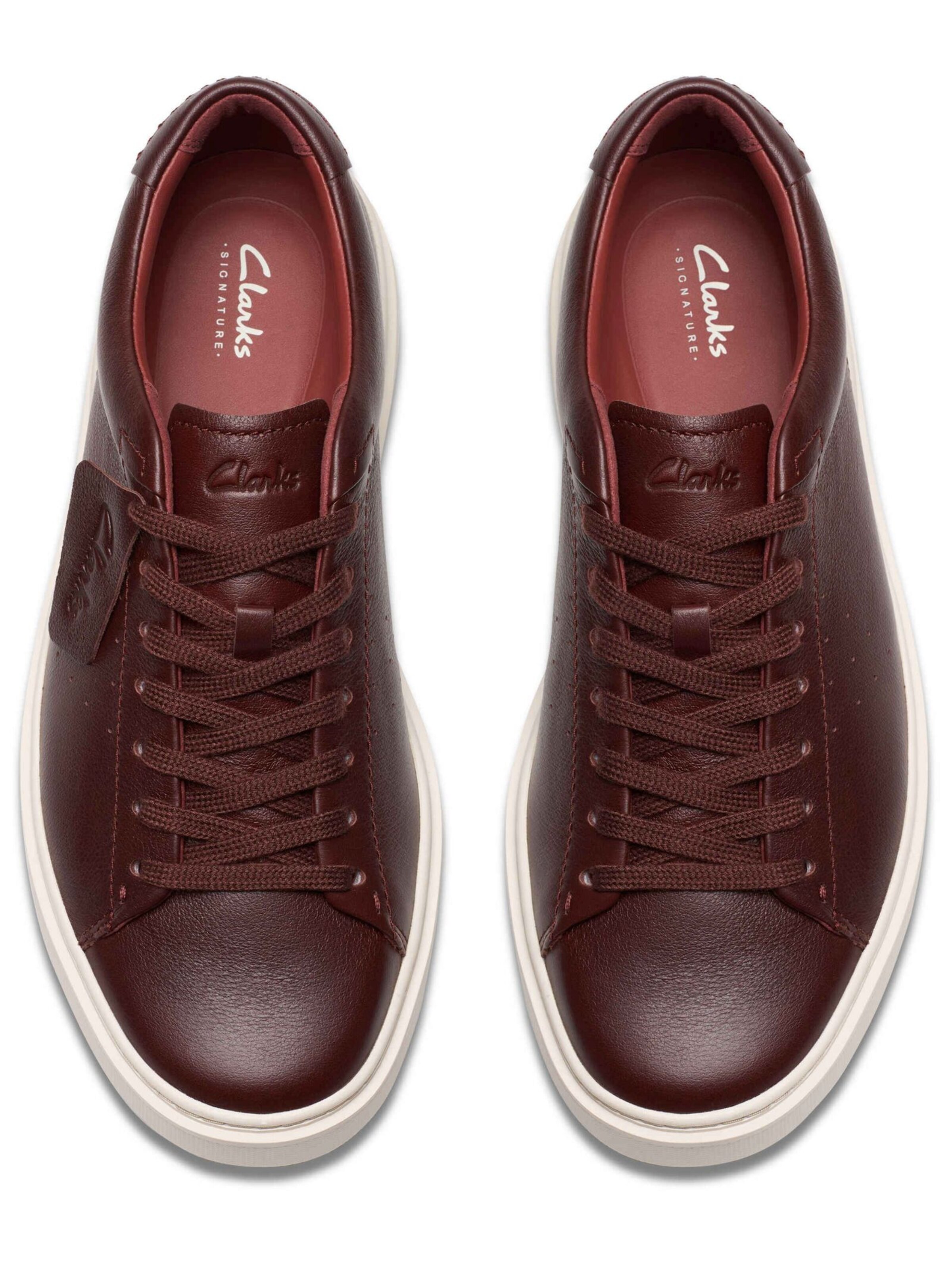 Sneaker bassa di CLARKS in marrone