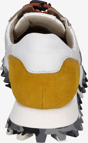 JOSEF SEIBEL Sneaker 'BONNIE  01' in Beige