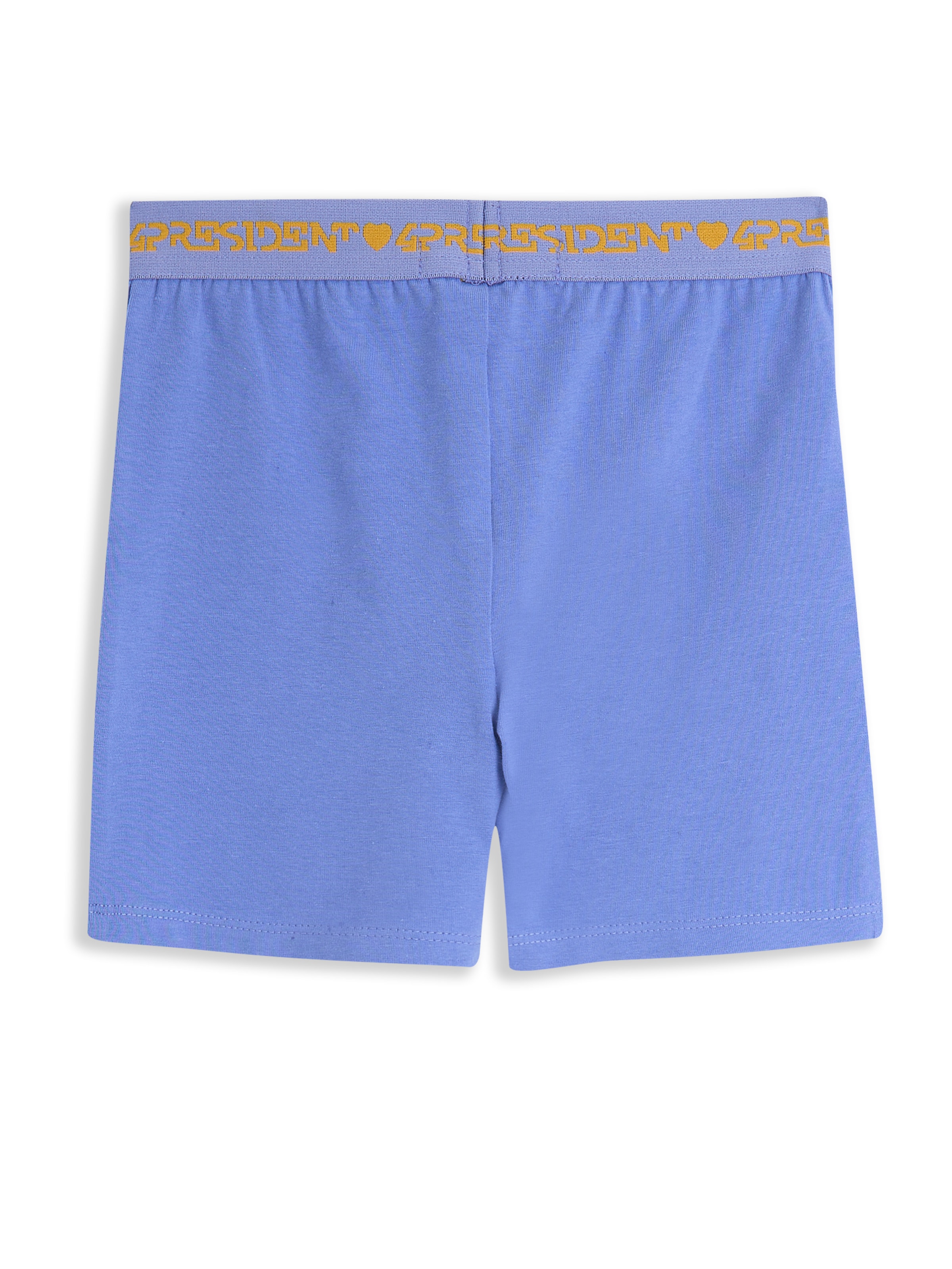 4PRESIDENT Regular Pants 'Nomi' in Blue