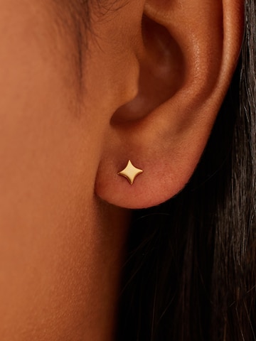 Lucardi Oorbellen 'Stern' in Goud