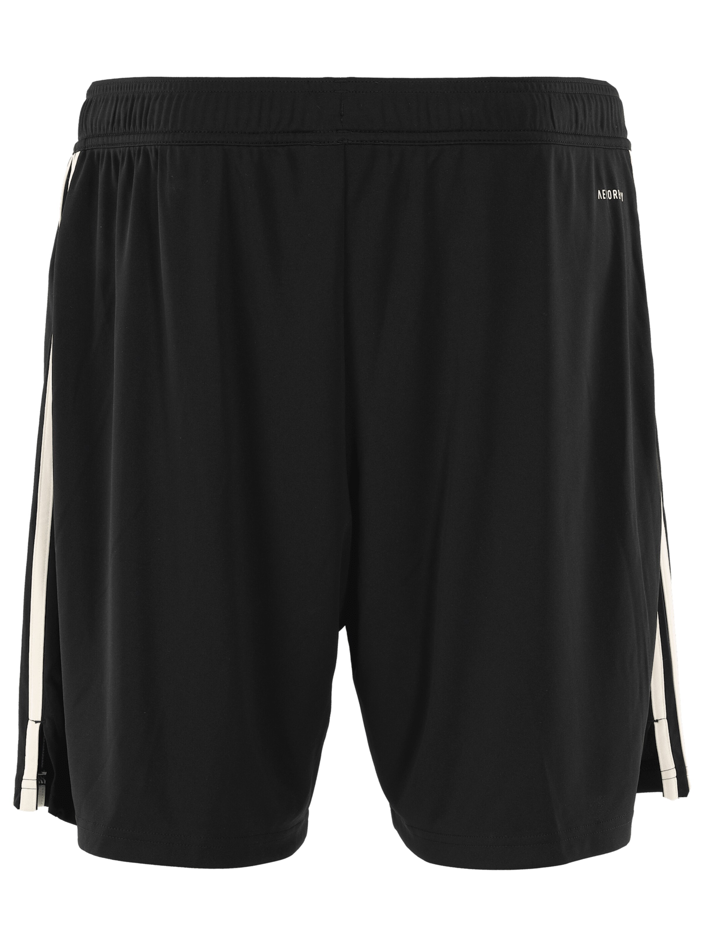 ADIDAS PERFORMANCE Regular Sportbroek 'FC Bayern München 2025/2026' in Zwart