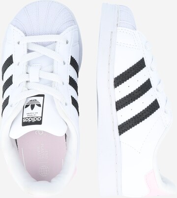 ADIDAS ORIGINALS Sneakers 'Superstar' in White