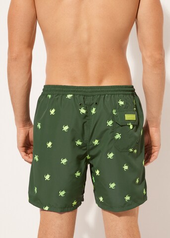 CALZEDONIA Regular Board Shorts in Green