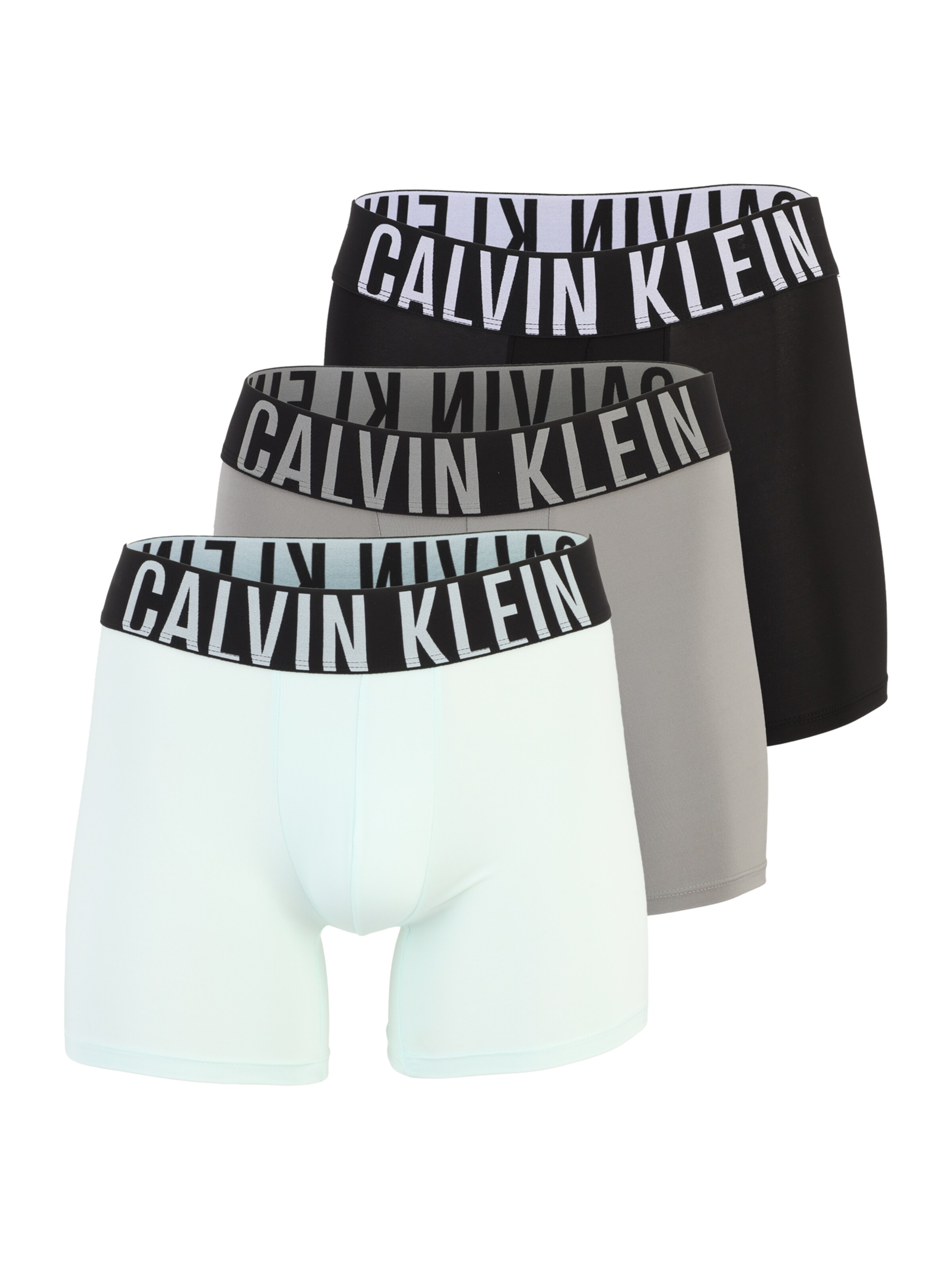 regular Boxer 'Intense Power' di Calvin Klein Underwear in verde: frontale