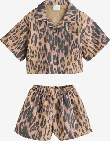 Next Set in Bruin: voorkant