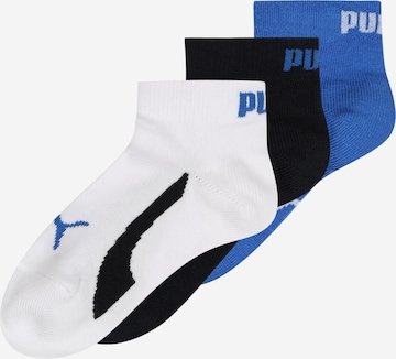 PUMA Socks in Mixed colors: front