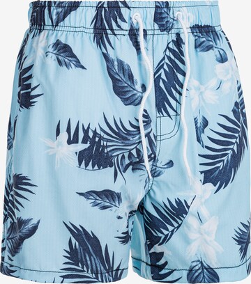 Cruz Zwemshorts in Blauw: voorkant