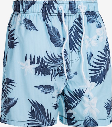 Cruz Zwemshorts in Blauw: voorkant