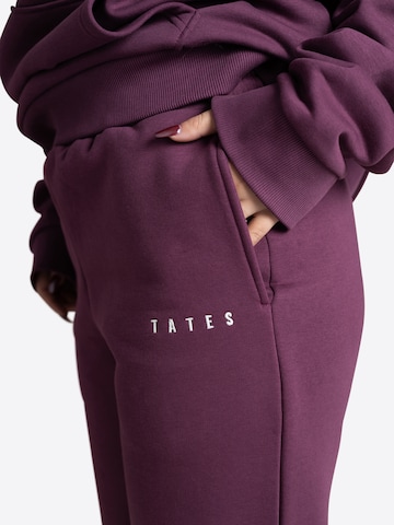 TATES Tapered Workout Pants in Purple