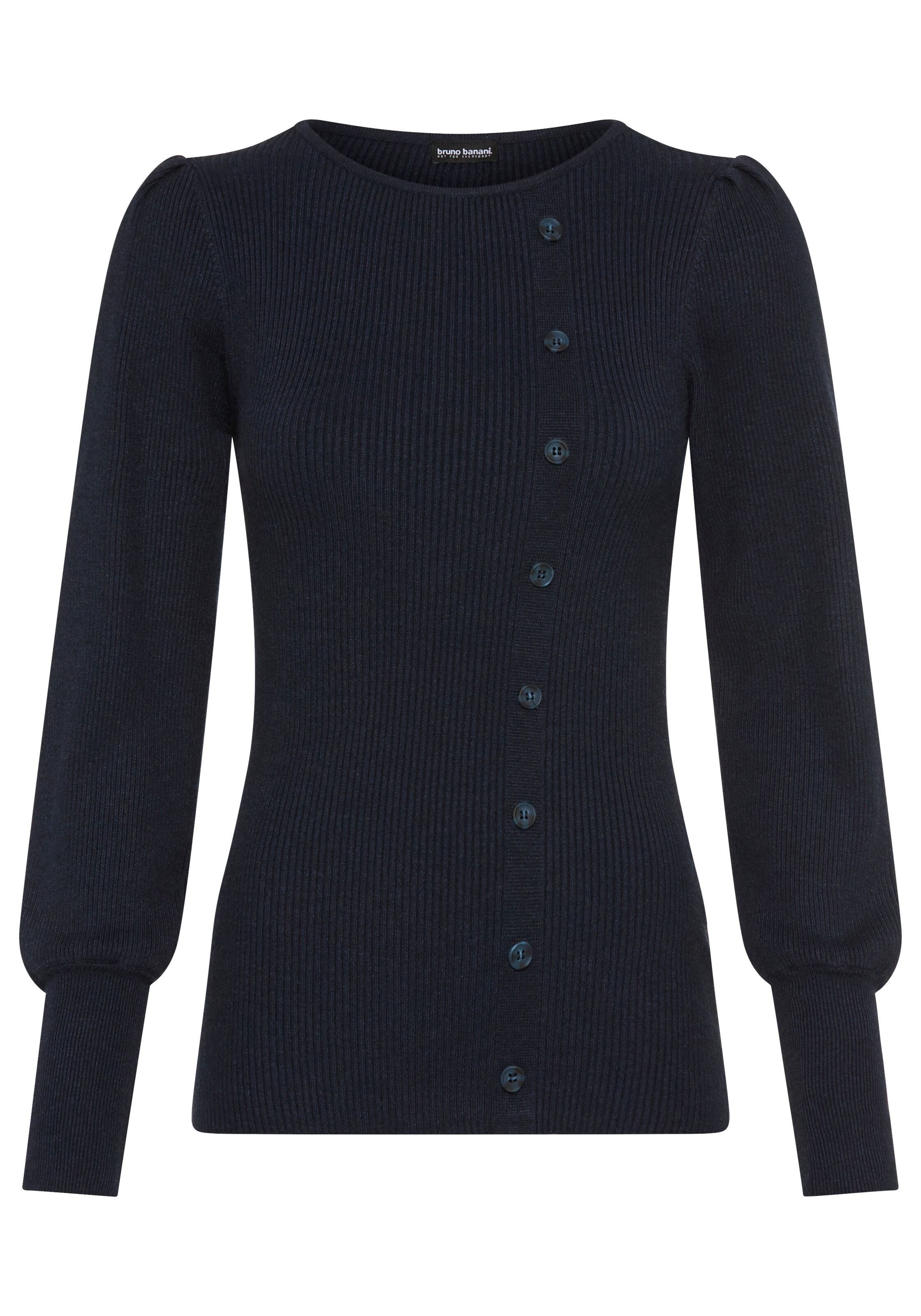 Bruno Banani LM Sweater in Blue: front