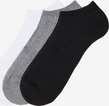 Tezenis Socks in Grey: front