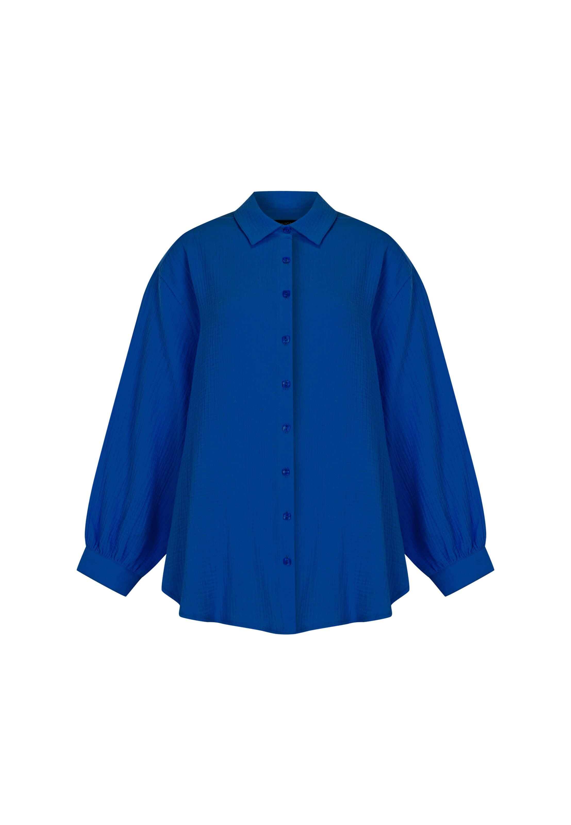 FRESHLIONS Langarmbluse 'Honari' in Blau: Vorderseite