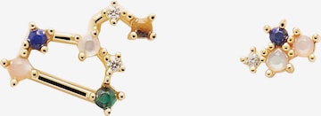 P D PAOLA Earrings 'Leo' in Gold: front