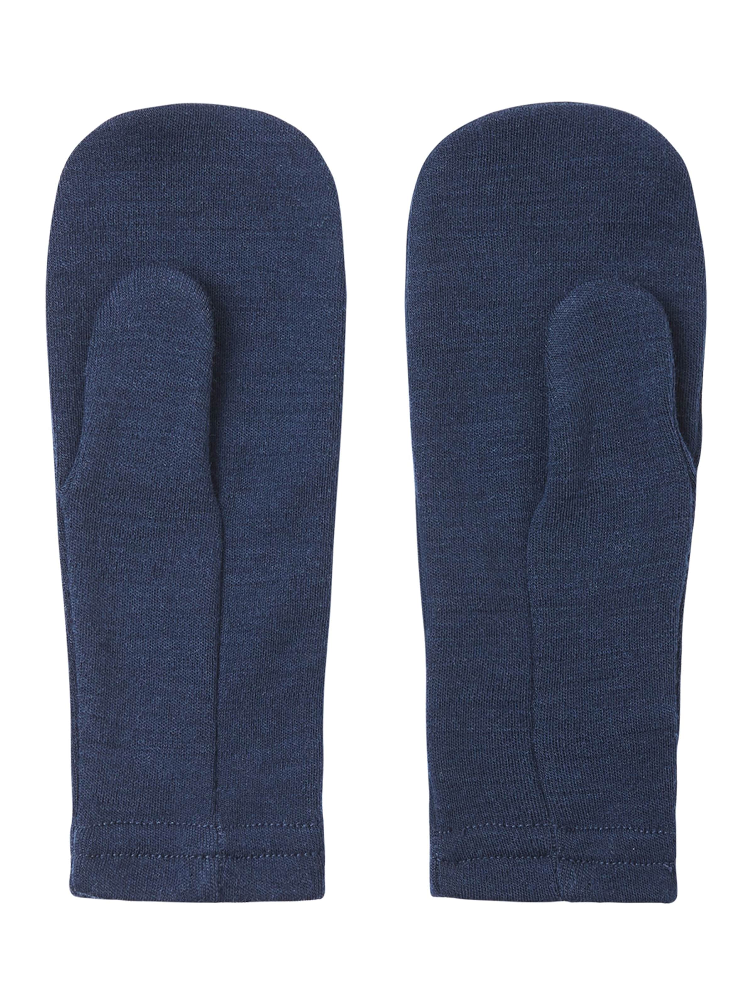 Reima Handschoenen 'Eino' in Blauw