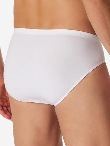 SCHIESSER Slip 'Cotton Essential' in Mixed colours