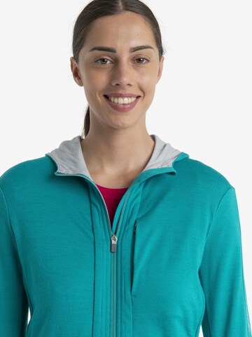 ICEBREAKER - Sweatshirt de desporto 'Quantum III' em verde