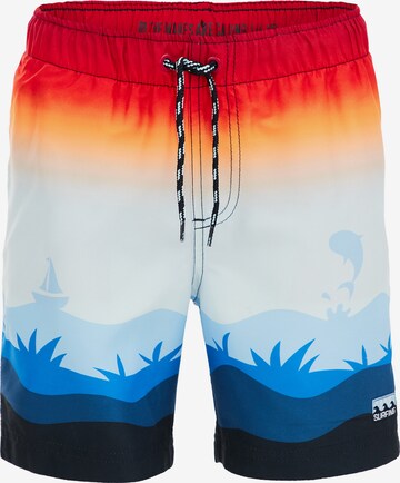 WE Fashion Board Shorts in Mixed colors: front