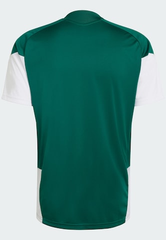 Maglia trikot 'Italien 26' di ADIDAS PERFORMANCE in verde
