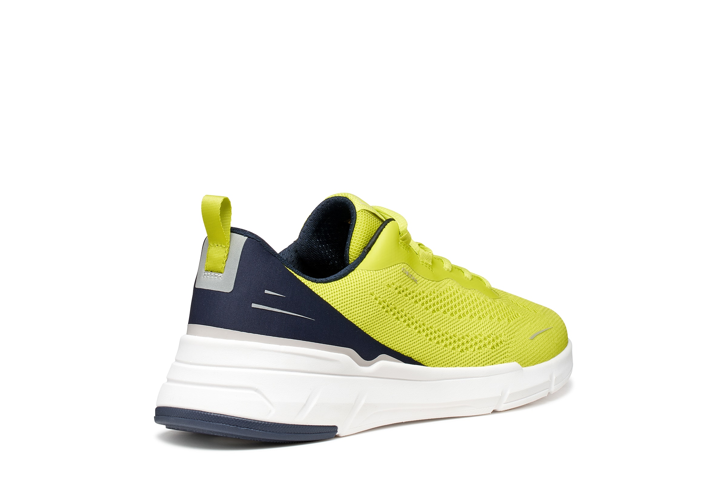 GEOX Sneakers in Green