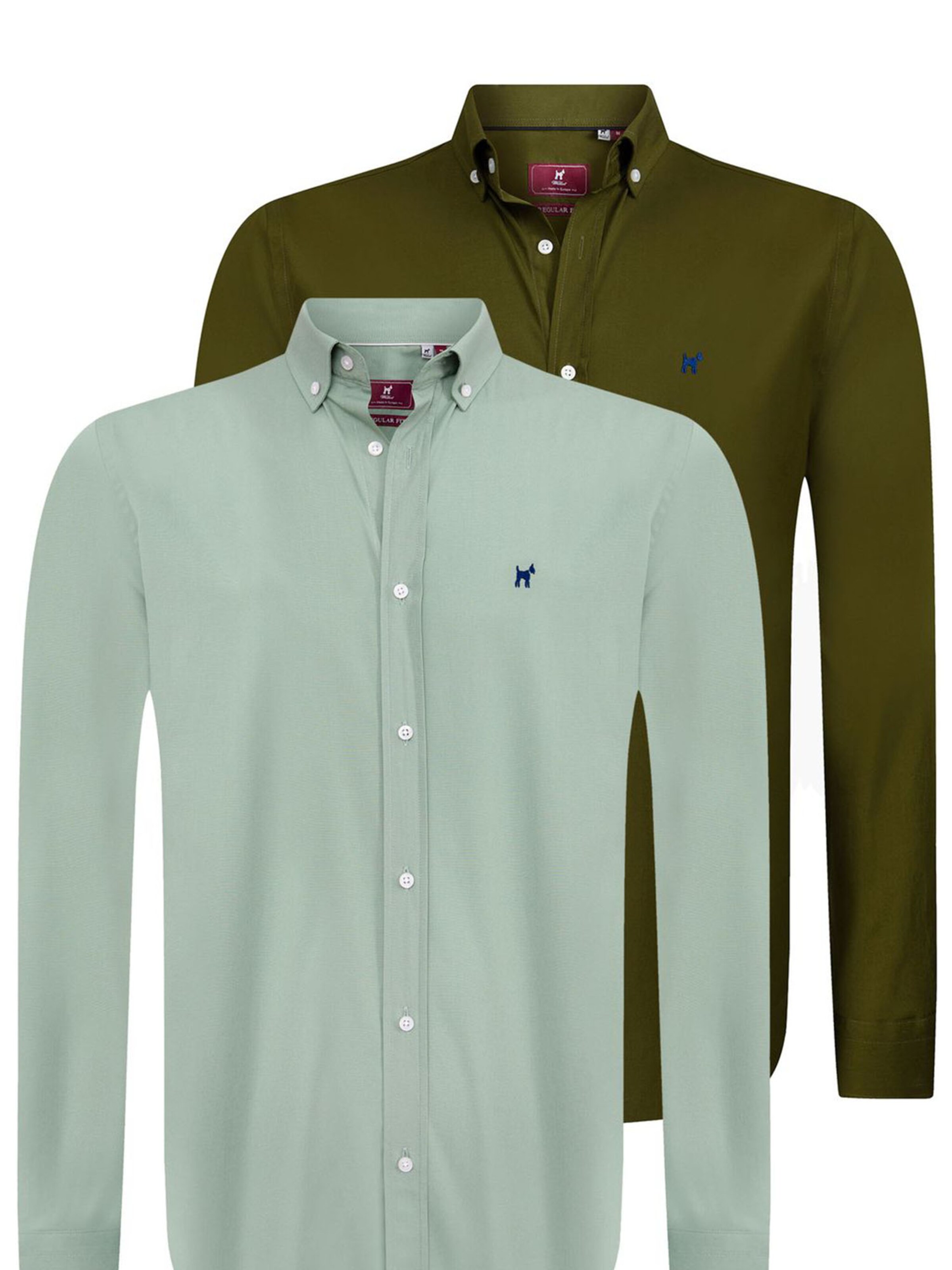 Williot Regular fit Skjorta i grön: framsida